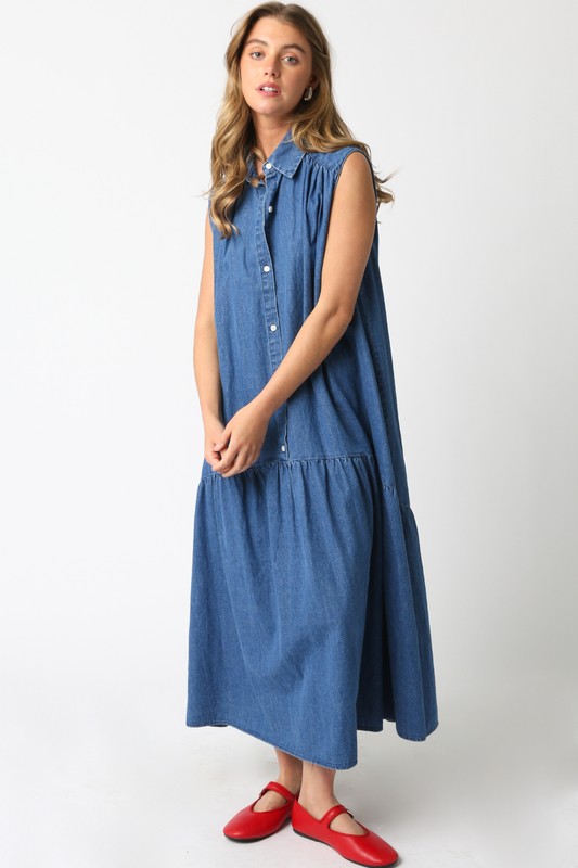 Denim Maxi Dress  - Image 1